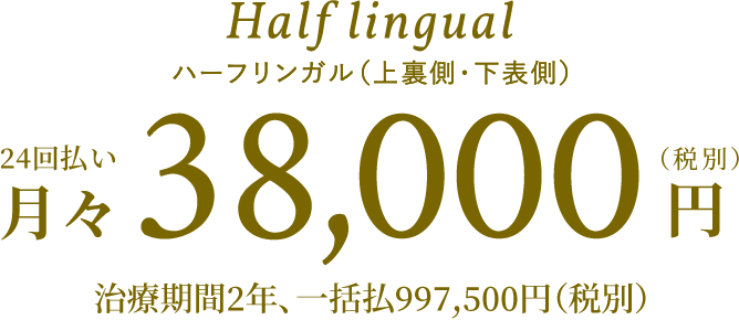 Half lingual ハーフリンガル（上裏側・下表側）24回払い月々38,000円（税別）治療期間2年、一括払997,500円（税別）